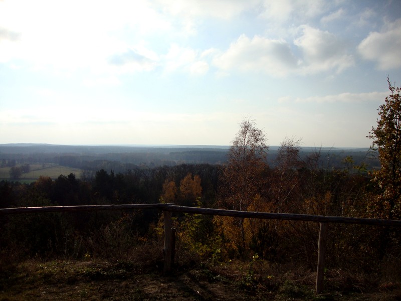 Herbstwald
