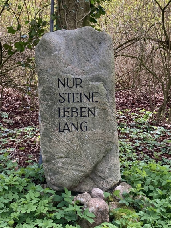 Weiter